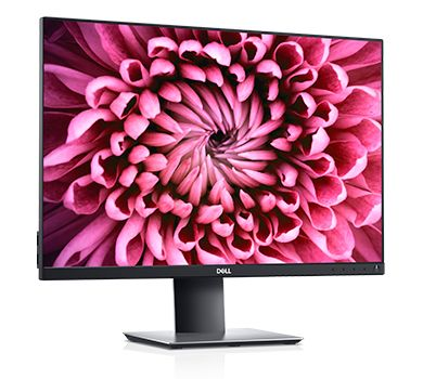 Dell-P2421-Office-Monitor---IPS-Panel-Hhenverstellung-4