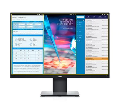 Dell-P2421-Office-Monitor---IPS-Panel-Hhenverstellung-5